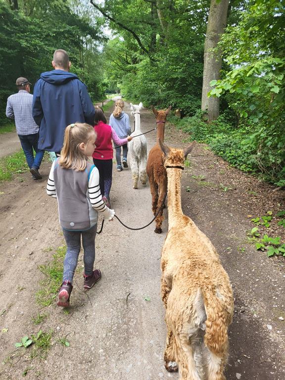 Eltern und Kinder mit Alpakas im Wald